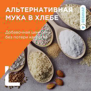 Инста-1