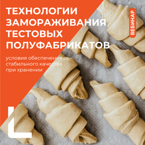 Макет вебинар_заморозка