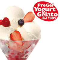 PG_Frozen Yogurt.jpg