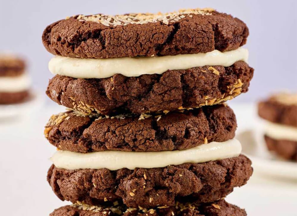 dawn-cookie-mix-choco-rac-mb-mix-12-5-kg