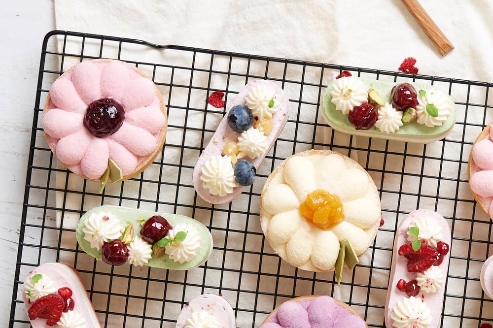 dawn-campaign-winter-leipurin-1-26