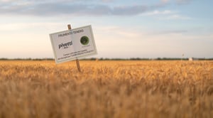 Pivetti-campaign-winter-leipurin-26-7