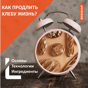 Maket Vebinar квадрат-1