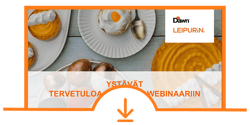 leipurin-webinar032021-preso-download