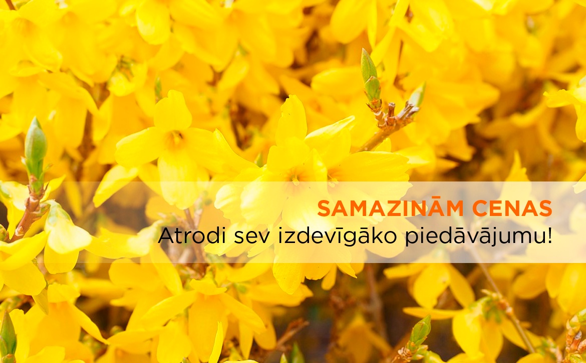 2017.05.03 Maija piedaavaajums Left.jpg