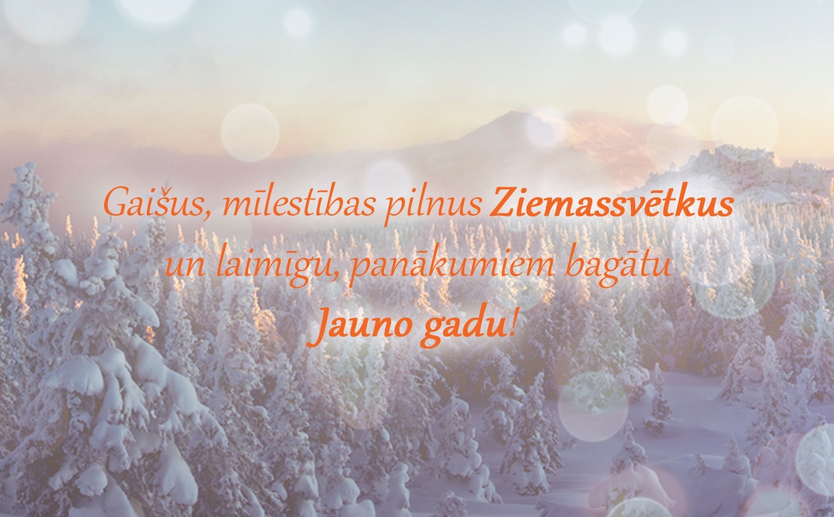2017.12.24 Ziemassveetki Left.jpg